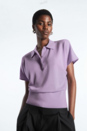 Lilac COS Knitted Polo Shirt | TF62-U2DZ