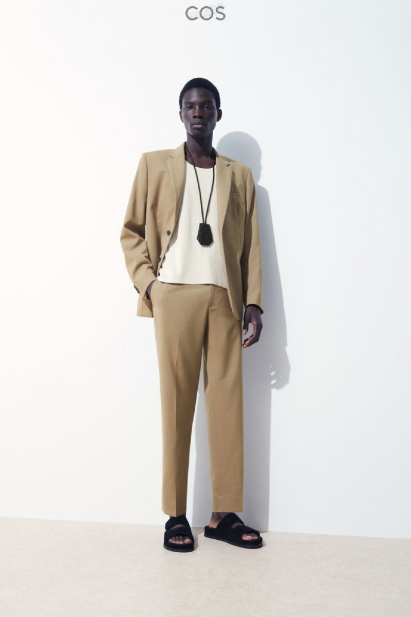 Beige COS The Straight-Leg Wool Pants | XF04-F1TI