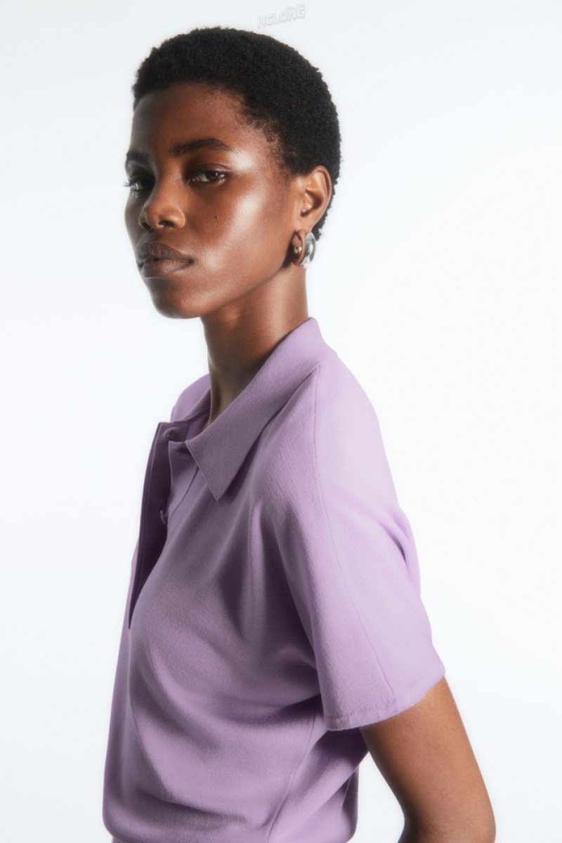 Lilac COS Knitted Polo Shirt | TF62-U2DZ